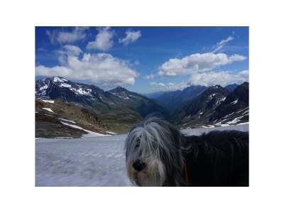 Apartment Studio - Outdoor photo 17