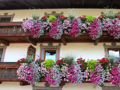 Apartment Apartment Serles - Outdoor photo 6