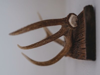 Apartment Apartment Serles - Features photo 36