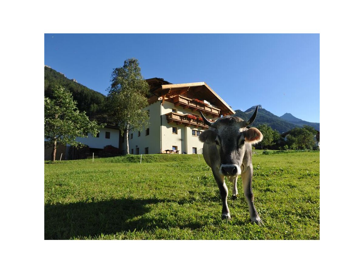 Apartment Ferienwohnung Tirol - Outdoor photo 2
