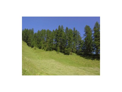 Apartment Ferienwohnung Tirol - Outdoor photo 11