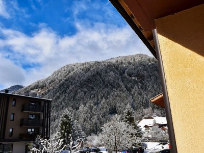 Apartment Appartement (4-5 Personen) - Features photo 56