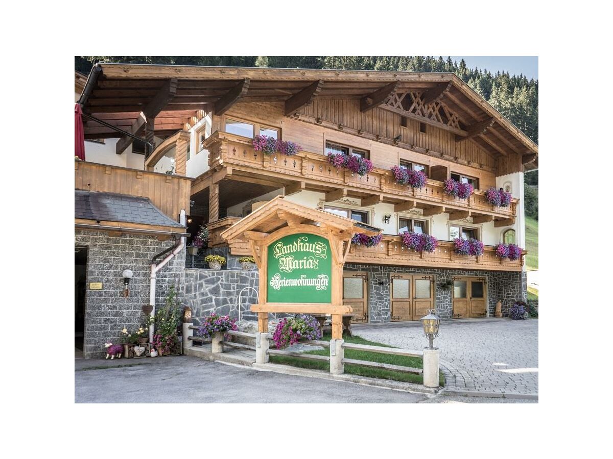 Apartment Ferienwohnung 1