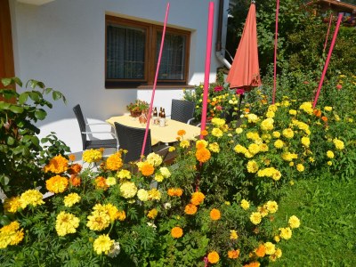 Apartment Appartement Serles - Features photo 29