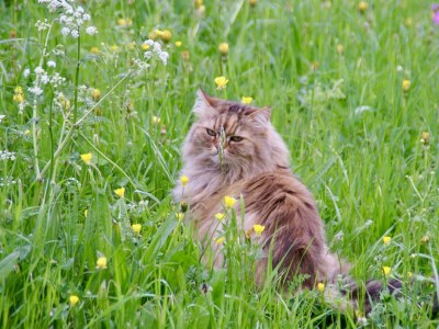 Apartment Pinnisblick - Outdoor photo 5