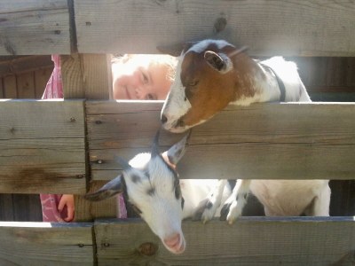 Apartment Pinnisblick - Outdoor photo 6