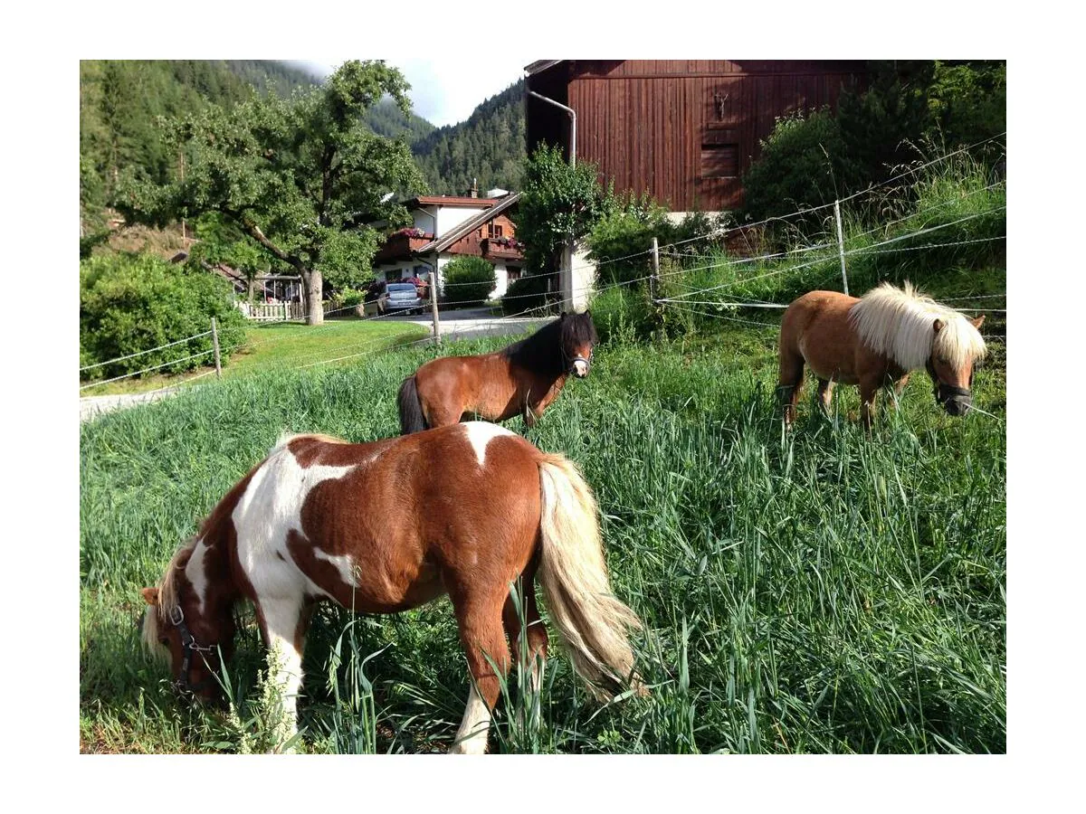 Apartment Appartement Habicht