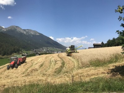 Apartment Appartement Habicht - Outdoor photo 11