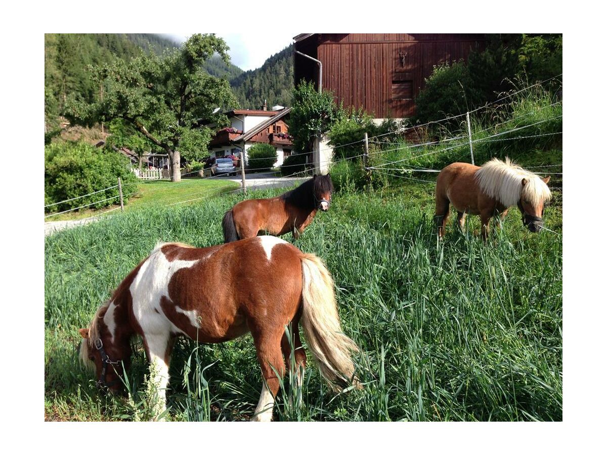 Apartment Appartement Ampferstein