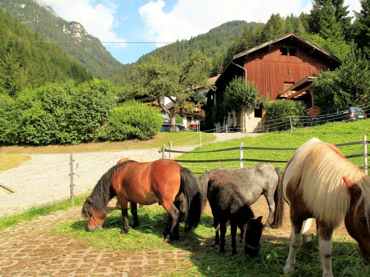 Apartment Appartement Ampferstein - Outdoor photo 5