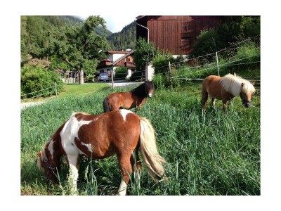 Apartment Appartement Ampferstein in Telfes - Apartment