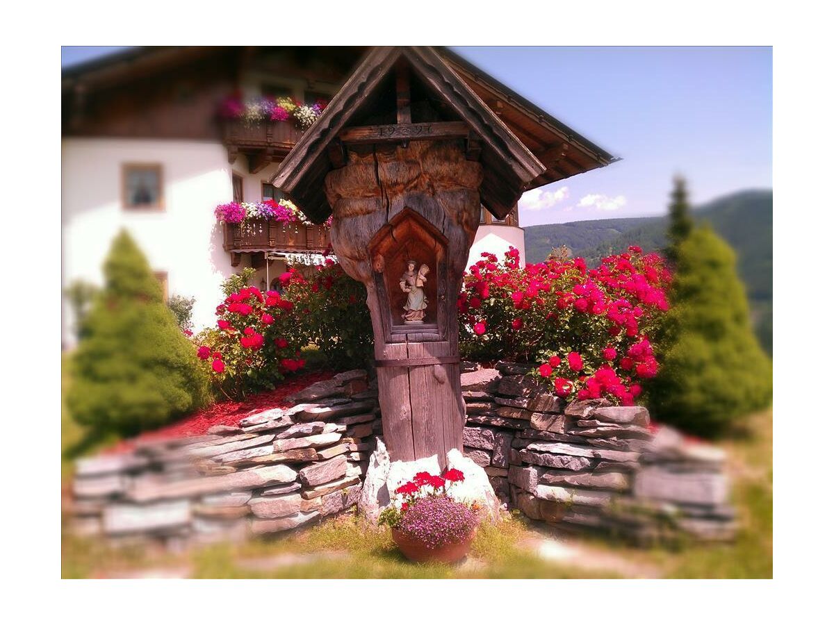 Apartment Appartement Sonnenstein