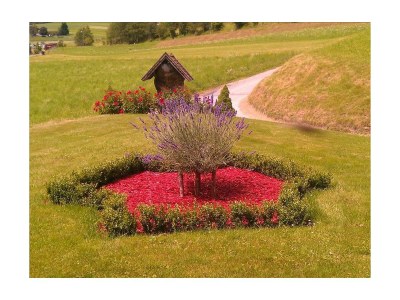 Apartment Appartement Sonnenstein - Outdoor photo 9