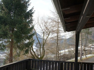 Apartment Ferienwohnung Adlerhorst - Features photo 32