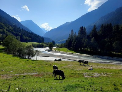 Apartment Appartement/Fewo - Outdoor photo 10