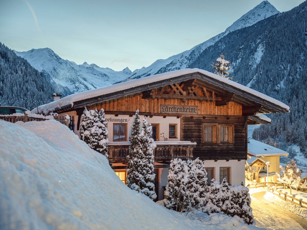 Apartment Ferienwohnung 1 - Outdoor photo 3