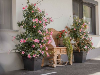 Apartment Appartement Zuckerhütl - Features photo 50