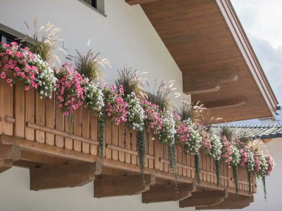 Apartment Appartement Elfer - Outdoor photo 15