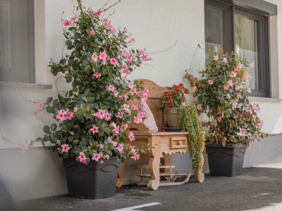 Apartment Appartement Elfer - Outdoor photo 20