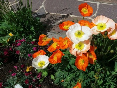 Apartment Appartement Zuckerhütl - Outdoor photo 16