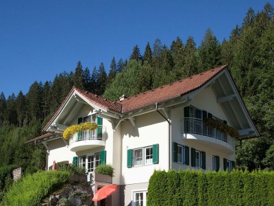 Apartment Chalet Claudia - Outdoor photo 4