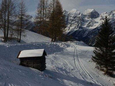 Apartment Appartement, 2 Schlafzimmer & DU/Bad, WC - Outdoor photo 4