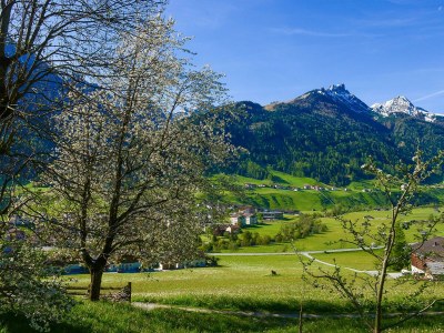 Apartment Appartement, 2 Schlafzimmer & DU/Bad, WC - Outdoor photo 34