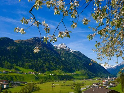 Apartment Appartement, 2 Schlafzimmer & DU/Bad, WC - Outdoor photo 35
