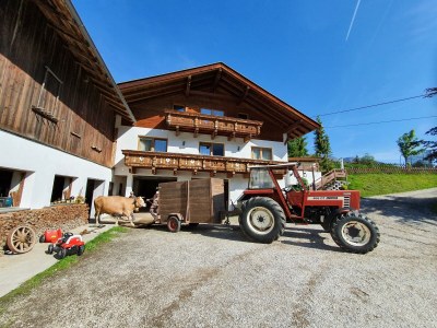 Apartment Ferienwohnung Serles - Outdoor photo 8