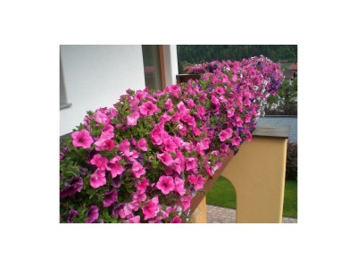 Apartment Appartement Serles - Outdoor photo 6