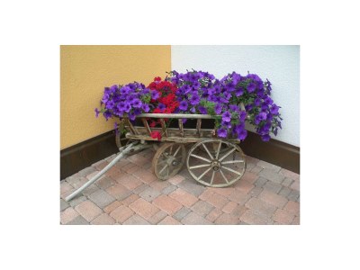 Apartment Appartement Serles - Outdoor photo 9