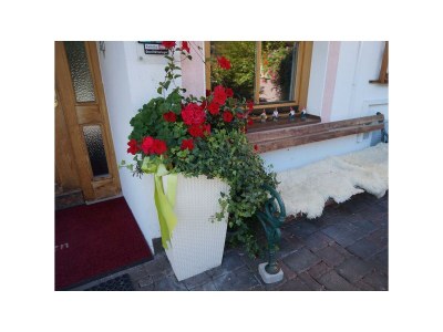 Apartment Appartement Sonnenstein - Outdoor photo 12