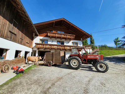 Apartment Ferienwohnung Habicht - Outdoor photo 10