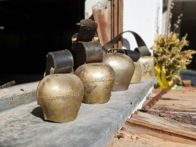 Apartment Ferienwohnung Habicht - Outdoor photo 11