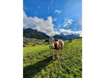 Apartment Ferienwohnung Habicht - Outdoor photo 14