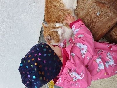 Apartment Ferienwohnung Habicht - Outdoor photo 15