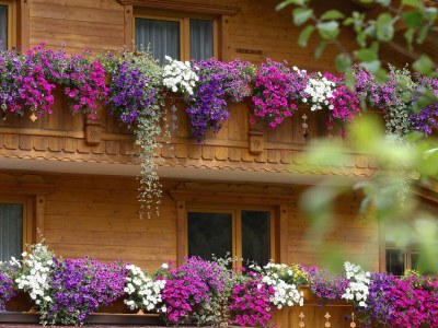 Apartment Appartement Chiara - Outdoor photo 52