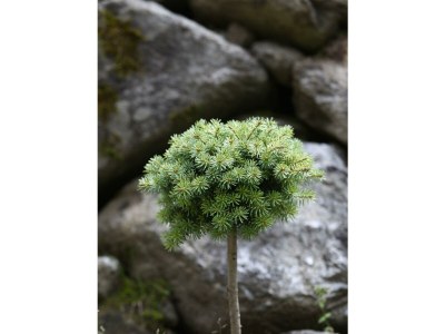 Apartment Studio 5 - Outdoor photo 55