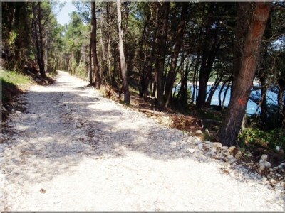 Villa No title - Environment photo 28