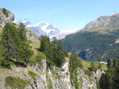 Holiday apartment Haus Bellevue - Environment photo 36