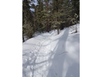 Holiday apartment Haus Bellevue - Environment photo 39