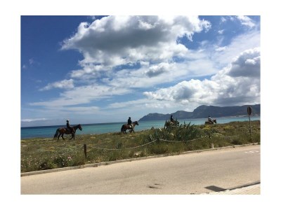 Holiday house Villa Rosa - Outdoor photo 6