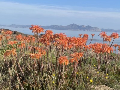 Holiday house Villa Rosa - Environment photo 21