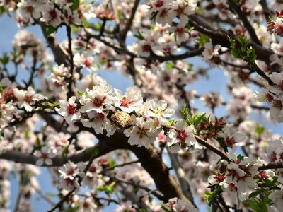 Holiday house Villa Rosa - Environment photo 22