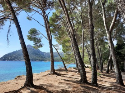 Holiday house Villa Rosa - Environment photo 29