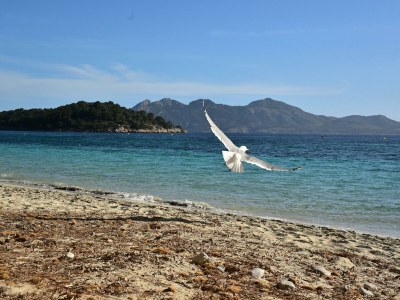 Holiday house Villa Rosa - Environment photo 30