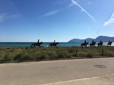 Holiday house Villa Rosa - Environment photo 31