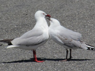 Holiday house TamTam - Environment photo 38