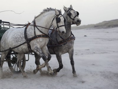 Holiday apartment Kajüte 1 - Environment photo 20