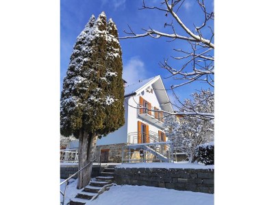 Holiday house EulenNest - Outdoor photo 11